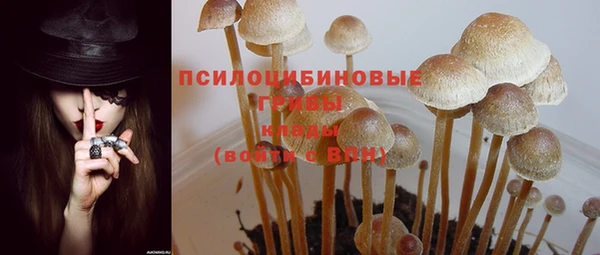 МДПВ Каменск-Шахтинский