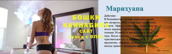 дурь Каменка