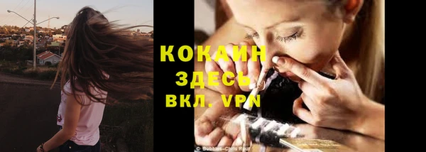 дурь Каменка