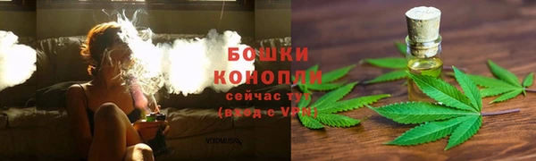 дурь Каменка
