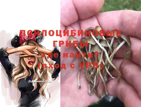 дурь Каменка