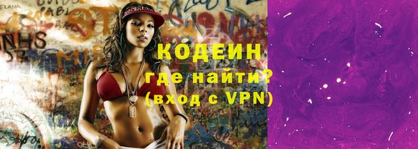 дурь Каменка