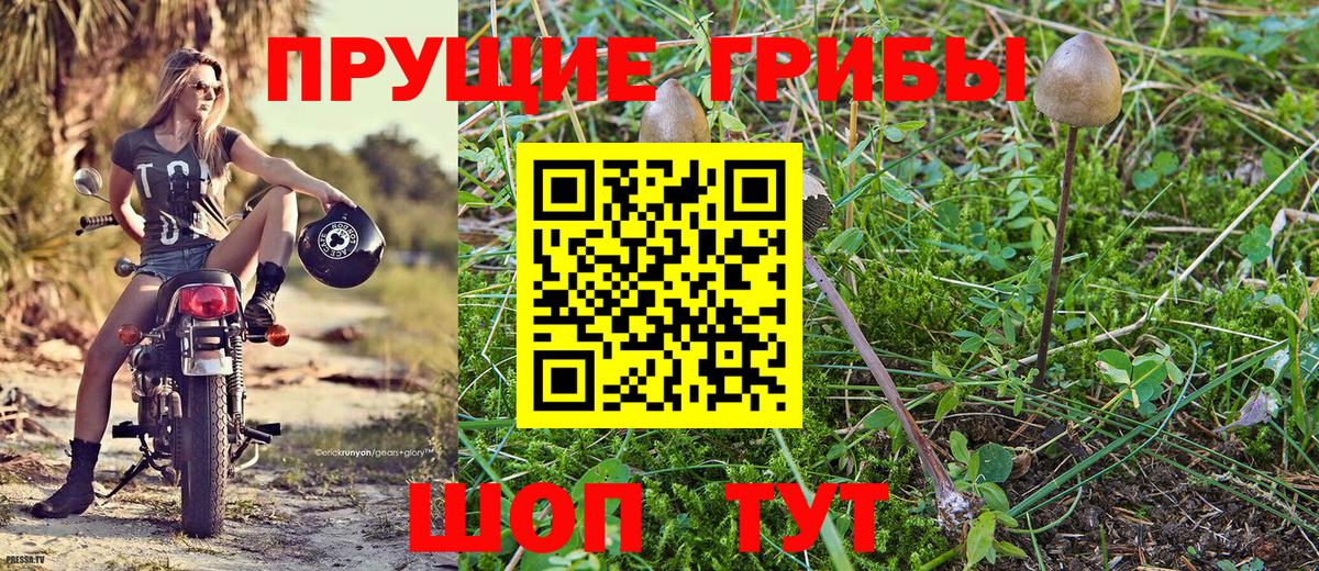 Псилоцибиновые грибы прущие грибы Клинцы